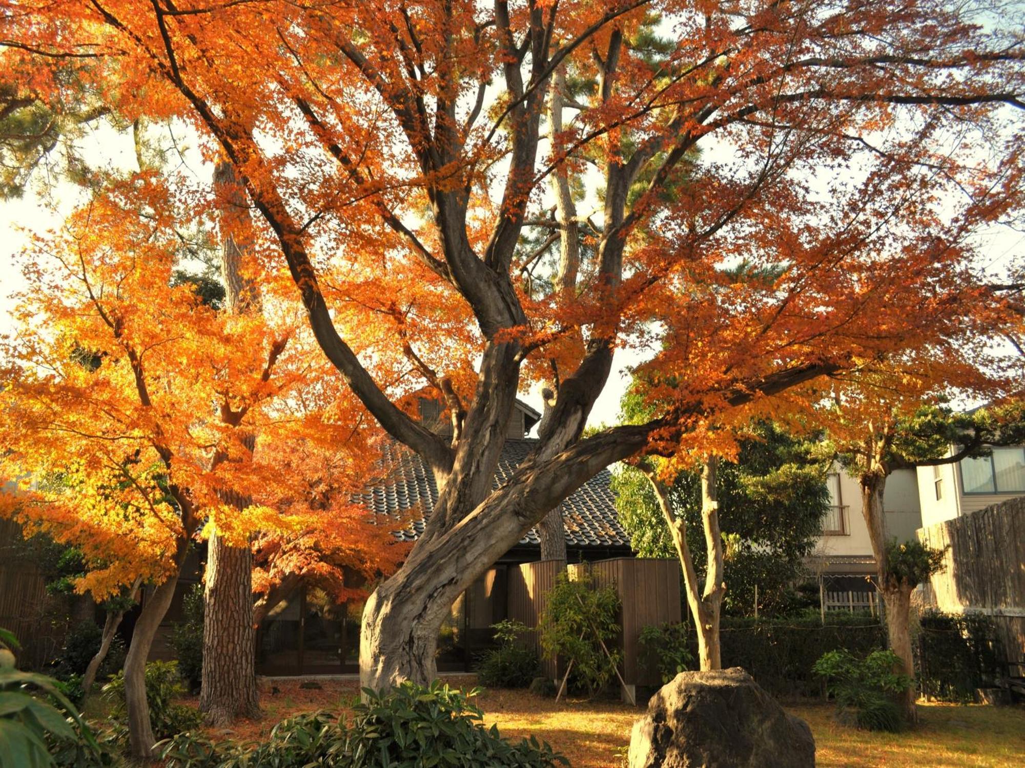 Hotel Machi No Odoriba à Kanazawa Extérieur photo