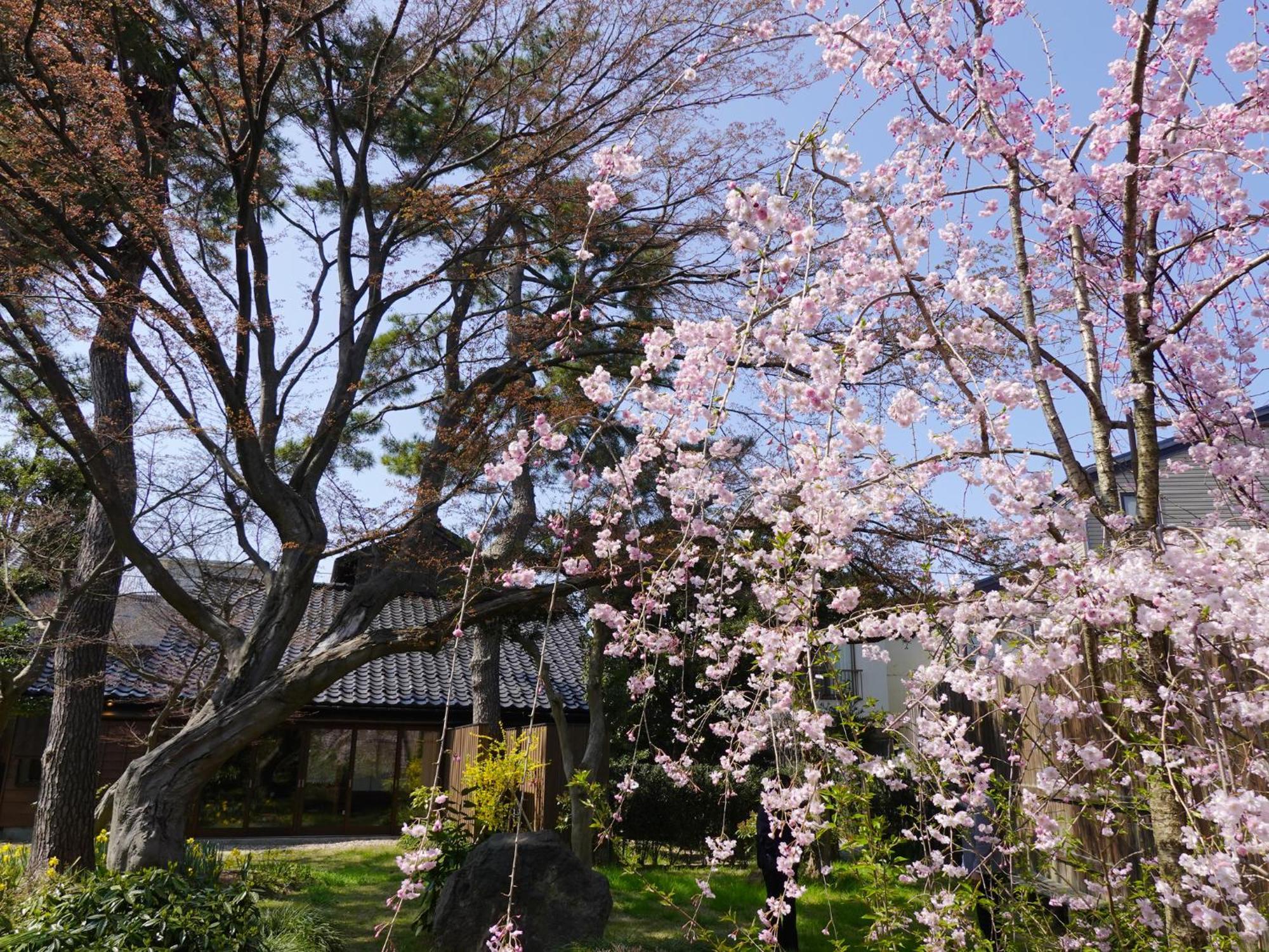 Hotel Machi No Odoriba à Kanazawa Extérieur photo